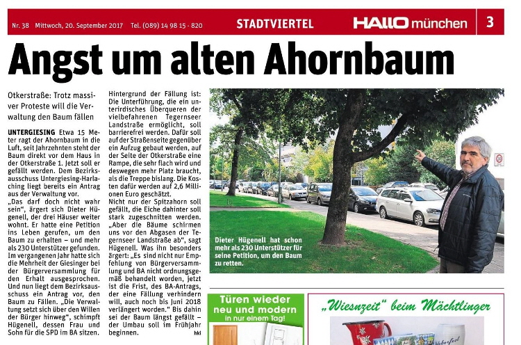 Ausschnitt_Seite_3_79633web