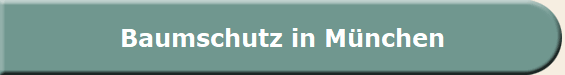 Baumschutz in M�nchen